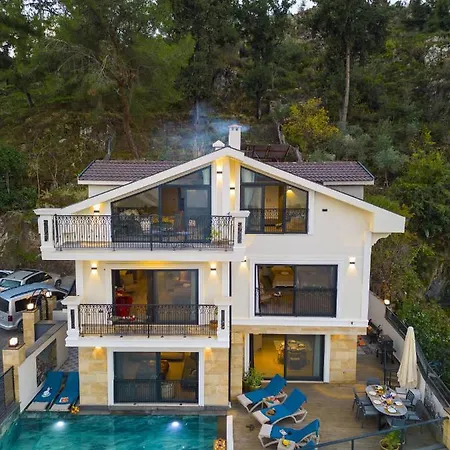 别墅 Porto- 3 Bedrom Private Pool 费特希耶